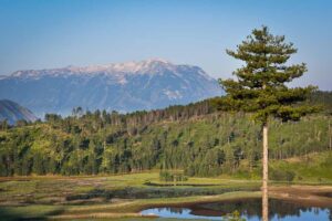 DSC_0104-2 DSC_0104-2