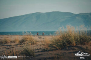 RallyAlbania (5) RallyAlbania (5)